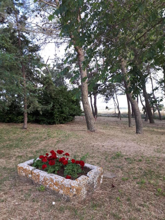 Il Casale Falagario Stacca Villa Altamura Buitenkant foto