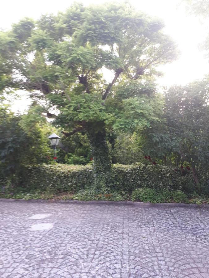 Il Casale Falagario Stacca Villa Altamura Buitenkant foto